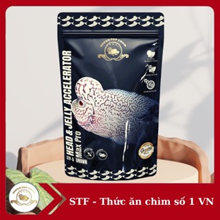 HEAD AND JELLY ACCELERATOR - STF5