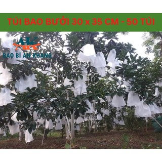 50 túi bọc bưởi [30x 35] túi bao bưởi to, giá siêu rẻ hàng chất lương cao tái sử dụng 2 vụ