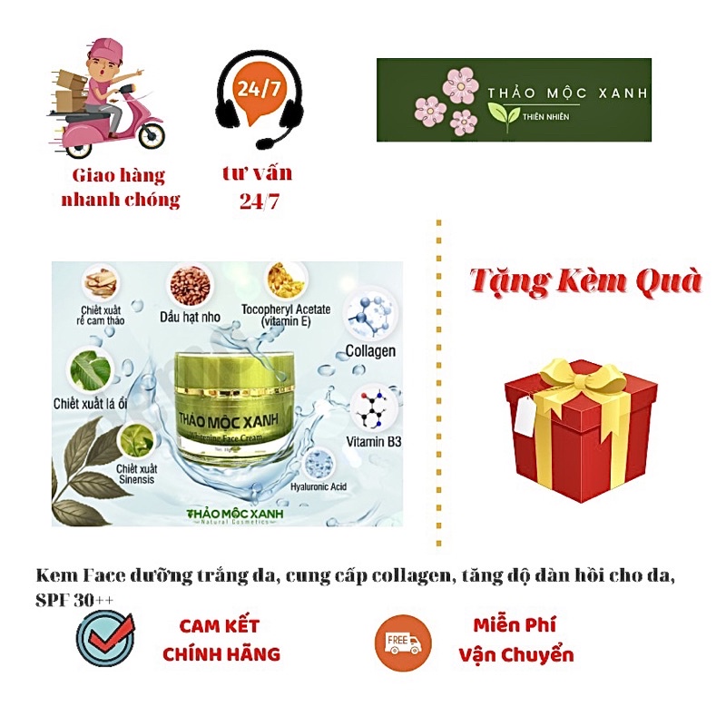 Kem face thảo mộc xanh