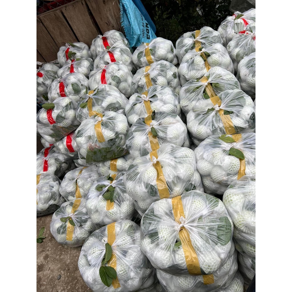 Xốp lưới bọc dưa lưới, bưởi, đu đủ 1kg seri 22-25m