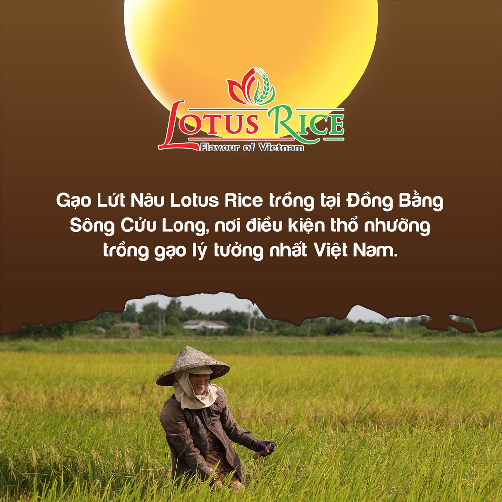 Gạo Lứt Nâu mềm tơi thơm ngon Lotus Rice 1kg - Dễ ăn dễ nấu - Nhiều chứng nhận ATTP