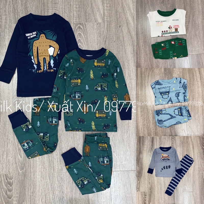Bộ cotton xuất dư xịn carter cho bé