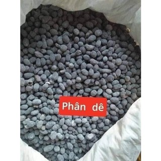 Sỉ phân dê trồng lan đã qua xử lí theo cân