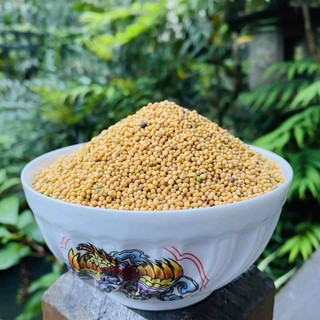 Bạch Giới Tử 500g