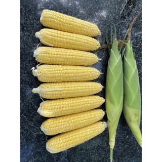 Hạt Giống Ngô (Bắp) Siêu Ngọt Nova 50 Gram
