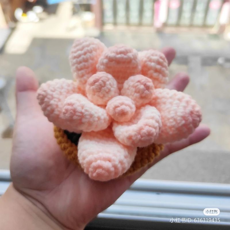 Chậu sen đá bằng len