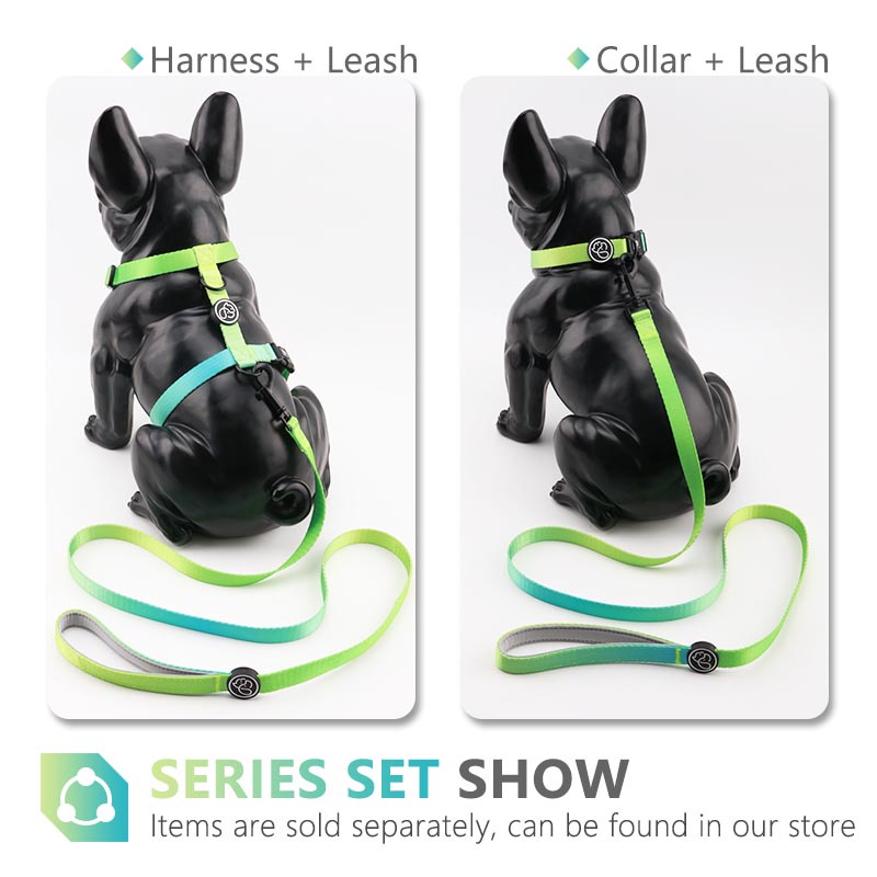 HamshMoc Dây Dắt Thú Cưng Đi Dạo Bằng Nilon Với Tay Cầm Mềm Mại Tiện Dụng Cho Cún Cưng Cỡ Nhỏ / Vừa / Lớn