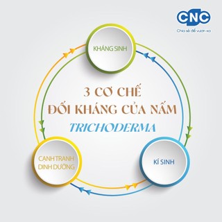 Chế Phẩm Nấm Ủ Đối Kháng TRICHODERMA (Túi 1kg) - VTNN Bắc Từ Liêm