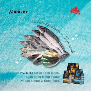 [Có sẵn] Hạt Nutrience SubZero Cho Mèo Mọi Độ Tuổi