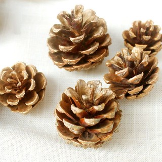 Phụ kiện trang trí cây thông noel