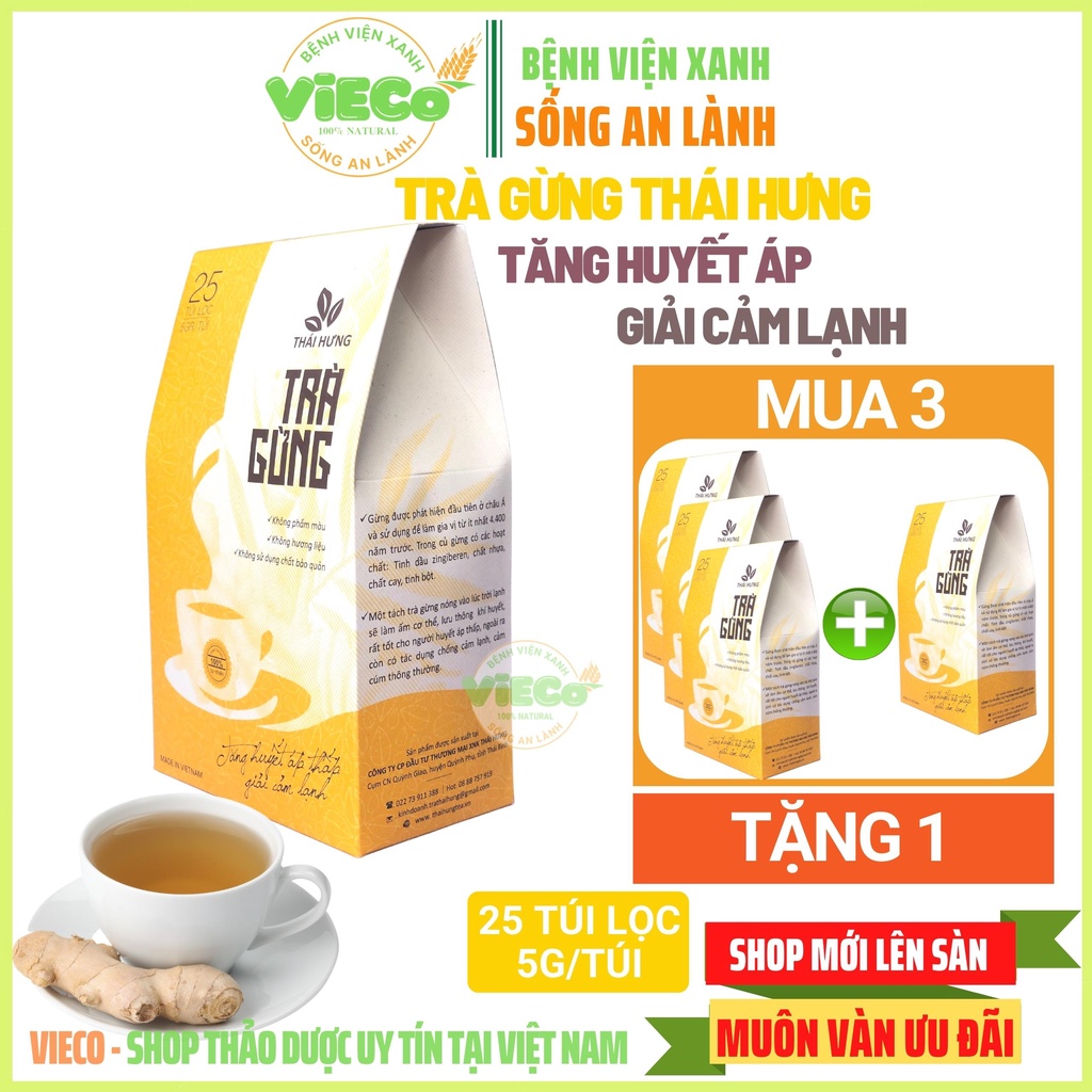Trà Gừng Giảm Đau Bụng Kinh, Huyết Áp Thấp - Trà Gừng THÁI HƯNG Từ Gừng Dễ Uống Không Cay Nồng 25 Gói Trà Túi Lọc 125G