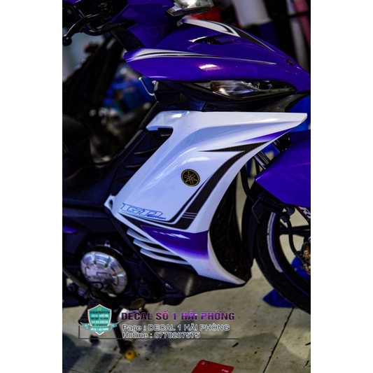 Tem trùm giả zin ex135