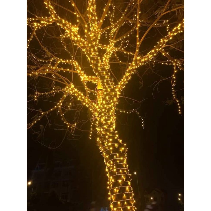 Đèn led đúc F5 12V quấn cây, làm biển quảng cáo, đèn trang trí ngoài trời