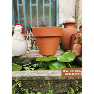 Chậu đất nung - chậu ly gờ đại miệng 23, cao 21