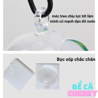 Bể cá mini trái tim 21 (tặng kèm combo 2 phụ kiện trang trí)