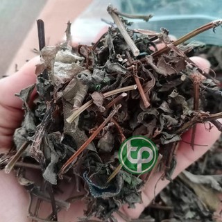 [Hàng công ty] Cây sài đất sấy khô (thơm, sạch)