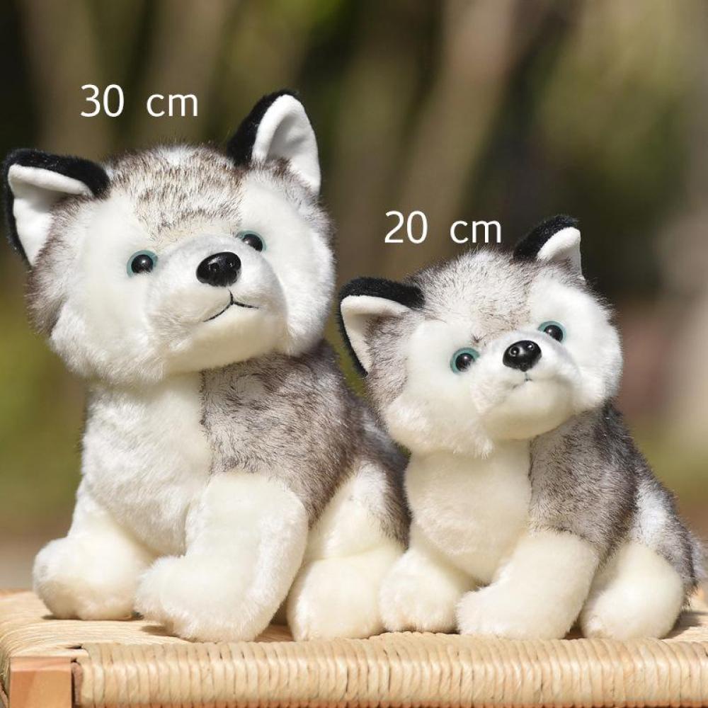 Đồ chơi nhồi bông Hình Chú Chó Husky Dễ Thương 20cm A4G7