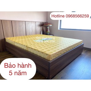 (Free ship hà nội 5km) Đệm bông ép hàn quốc Hanviko chống khuẩn