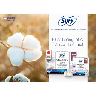 BVS SOFY ORGANIC COMBO 6 GÓI BVS NHẬP KHẨU