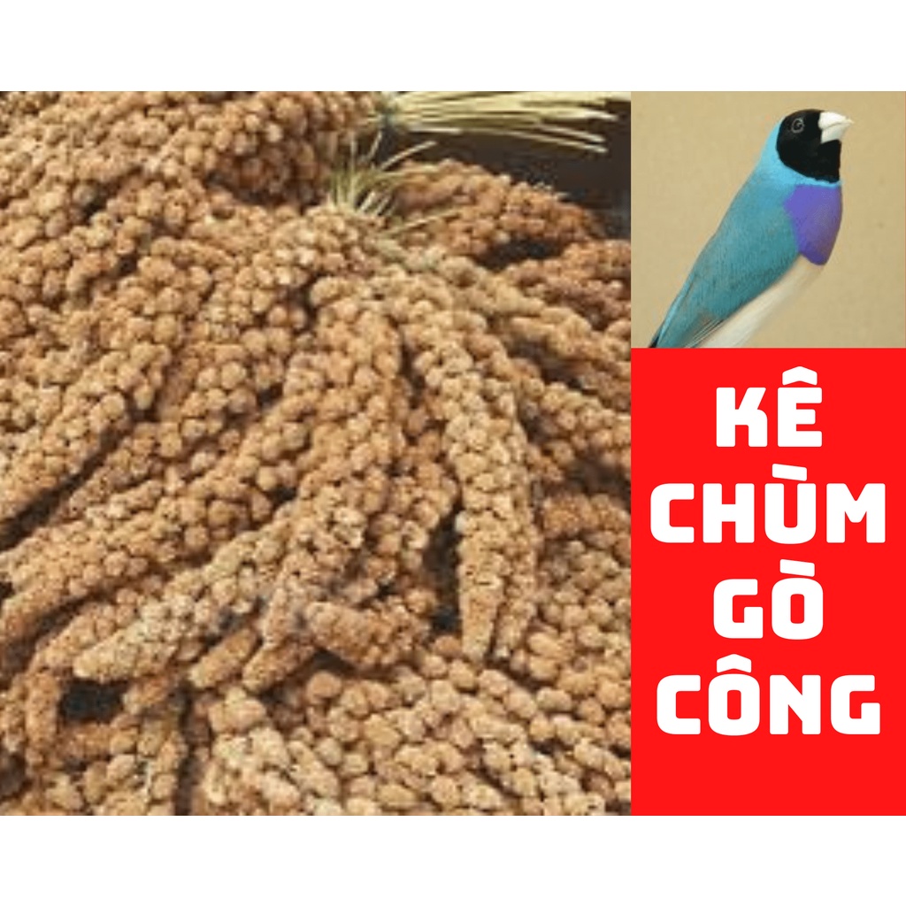 Kê chùm món ăn khoái khẩu của chim cảnh. Xuất xứ: Gò Công - Việt Nam. 1kg 70k