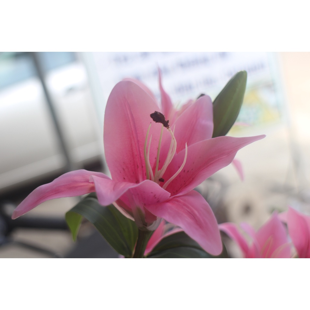 Hoa ly cành 9 bông 3 nụ- chất liệu cao su- Hoa giả mà như thật