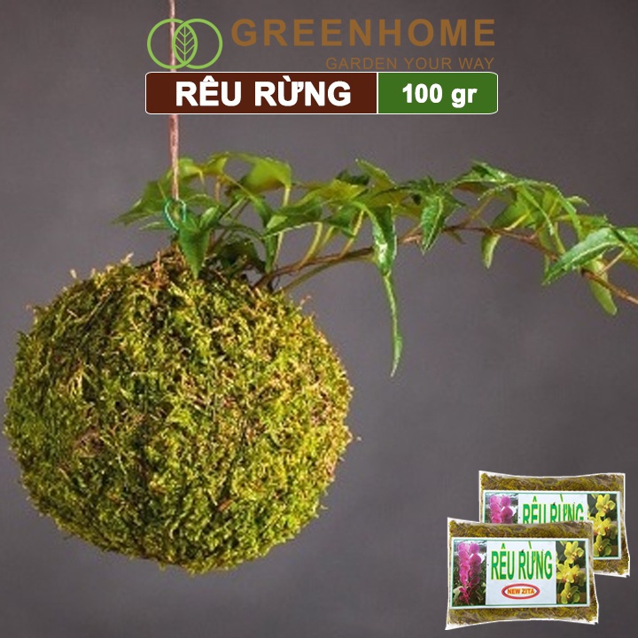 Rêu rừng đã qua xử lý newzita Greenhome, bao 100gr, đã qua xử lý, giữ ẩm tốt, chuyên phong lan, kiểng lá