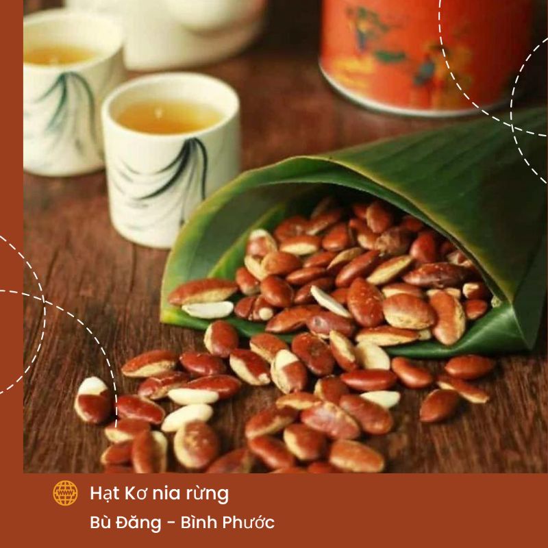 Rừng Rang Nguyên Vị Còn Vỏ - Đóng Túi 500G- Nữ Hoàng Macca Rừng Tây Nguyên 100% Tự Nhiên