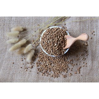HẠT MÙI (HẠT NGÒ) KHÔ 100GR