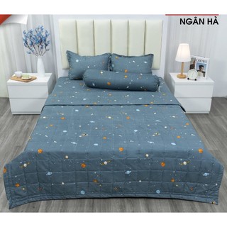 Bộ drap 1.2x2m nền xanh quả bơ ms0004
