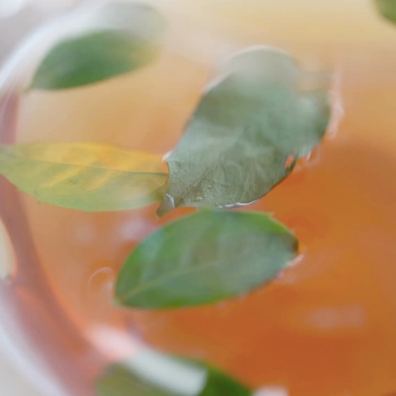Toner trà xanh Isntree Green Tea Fresh 200ml nuôi dưỡng, làm dịu da và chống oxy hoá tốt