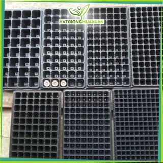 Khay ươm hạt giống 32 lỗ, 50 lỗ ,72 lỗ, 104 lỗ, 128 lỗ, 200 lỗ