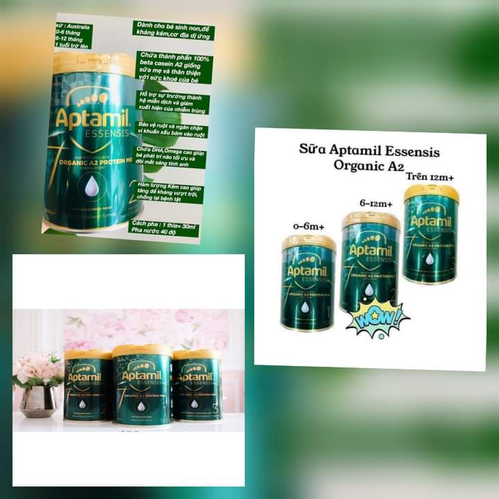 𝑺𝒖̛̃𝒂 𝑨𝒑𝒕𝒂𝒎𝒊𝒍 𝑬𝒔𝒔𝒆𝒏𝒔𝒊𝒔