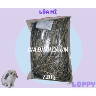[TẶNG 1 viên oxbow cho đơn từ 50k]Cỏ lúa mì ăn vặt cho thỏ/chuột lang