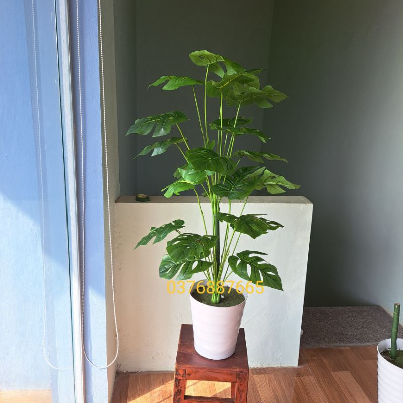 Cây lá rách cao 1M, cây lá rùa- cây giả decor khách sạn, quán cafe, nhà hàng ....