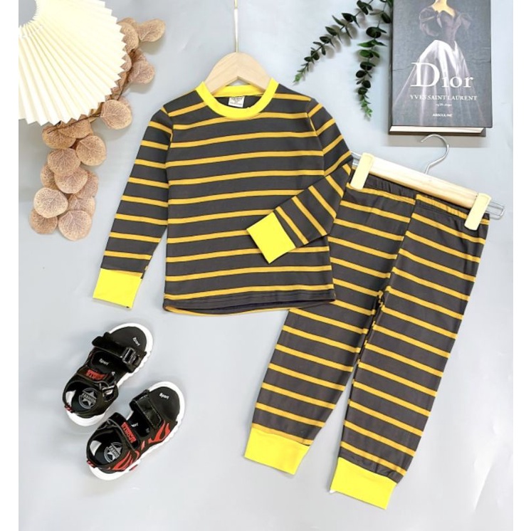 Bộ Dài Tay Bé Trai 16- 22kg Vải Cotton Dày Đẹp Đồ Bộ Bé Trai