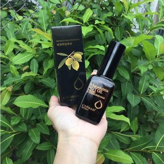 Tinh dầu dưỡng tóc Macadamia Nut Oil