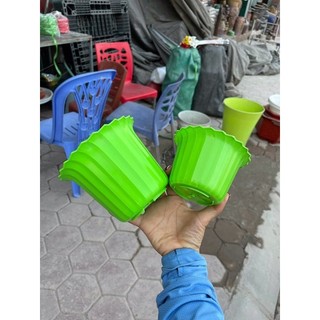 Chậu tròn xếp