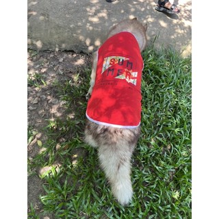 Áo cho chó Becgie - Áo cho chó lớn