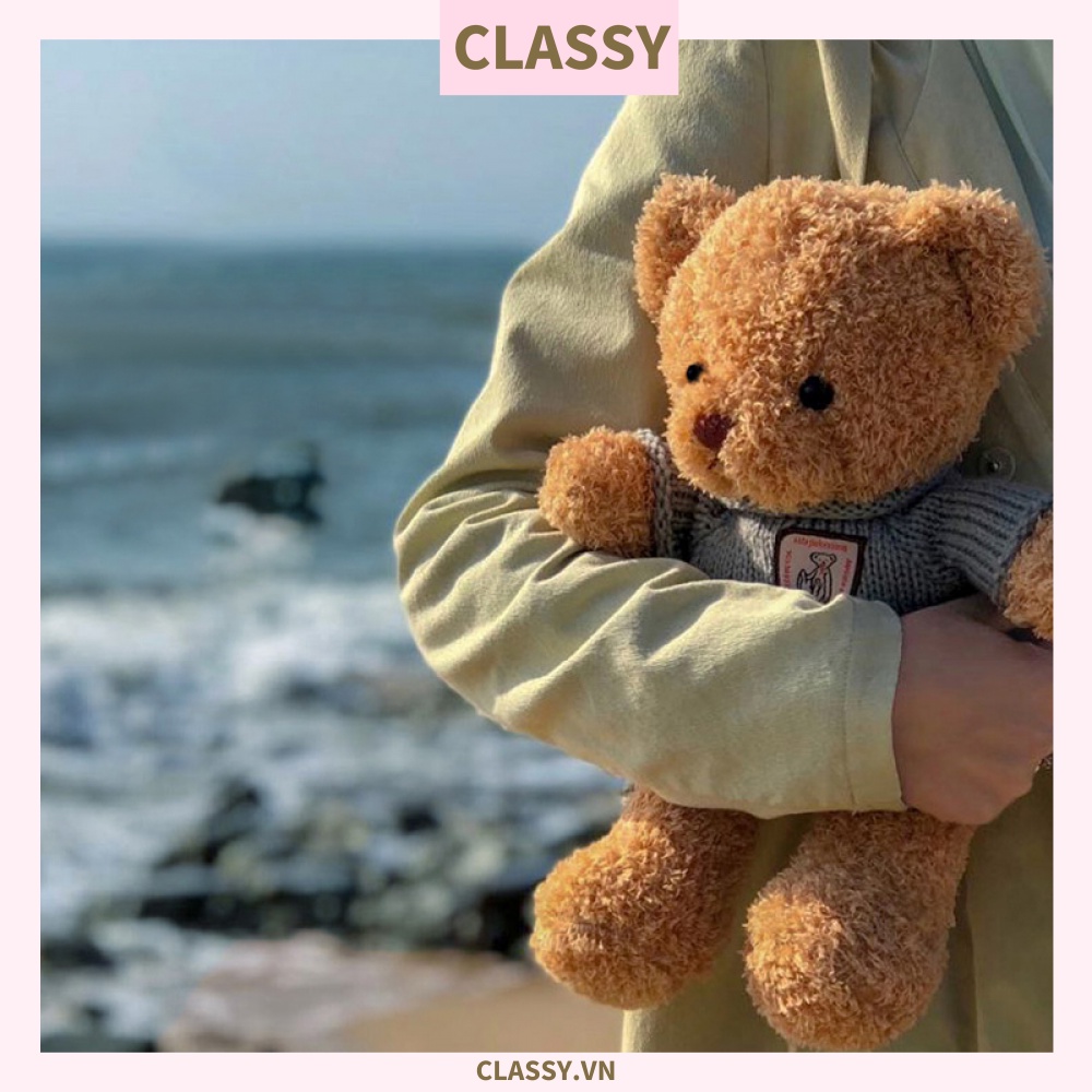 Classy Gấu bông Teddy mặc áo siêu êm siêu mịn B1375
