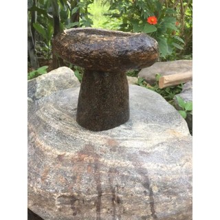 Chậu đá nuôi cá tiểu cảnh 27x14x9