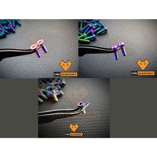 Ốc Titan M4 Các Loại