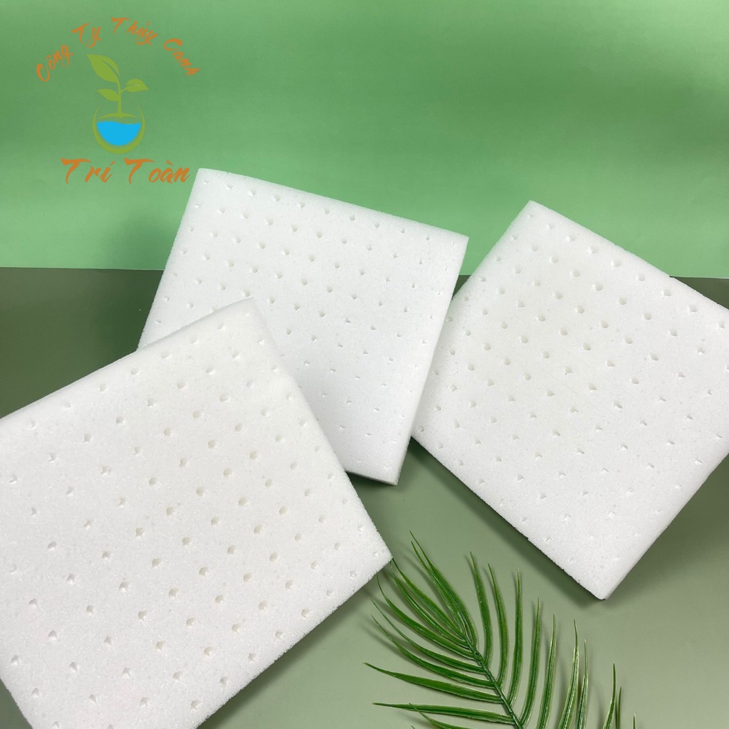 Mút ươm hạt giống trồng cây cao cấp gồm 110 viên