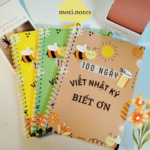 sổ nhật ký biết ơn 100 ngày