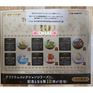 Mô hình pokemon terrarium collection 10 chính hãng rement