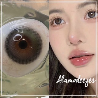Lens new T11 ( nhiều mẫu)
