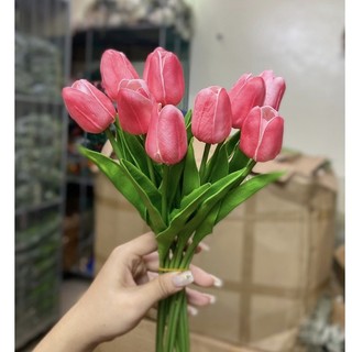 Hoa tuylip , hoa lụa decor