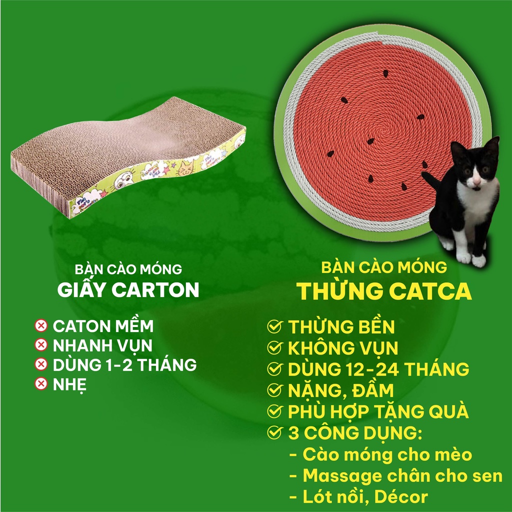 Bàn Cào Móng Cho Mèo Cao Cấp Hình quả Dưa Hấu