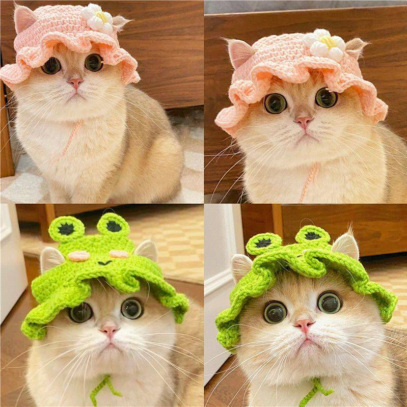 Pet Disguise Cap Teddy Dog Frog Hat Cat Flower Ruffled Maid Hat Pet New Year Woolen Cap 3XAt