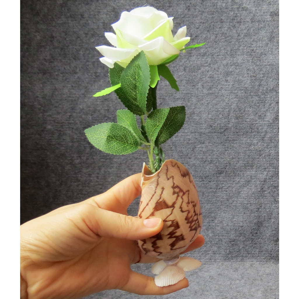 Lọ hoa vỏ ốc giác, lọ hoa