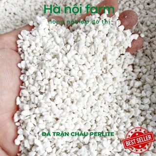 1kg đá trân châu perlite trồng cây